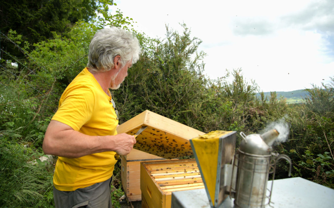 Philippe Roth et le monde des abeilles